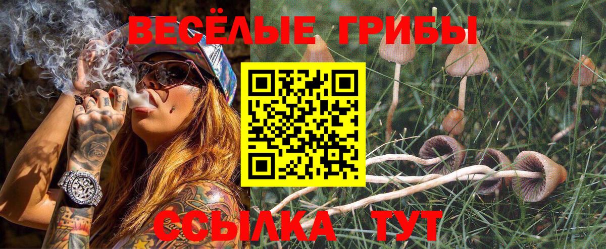 Псилоцибиновые грибы MAGIC MUSHROOMS Ливны